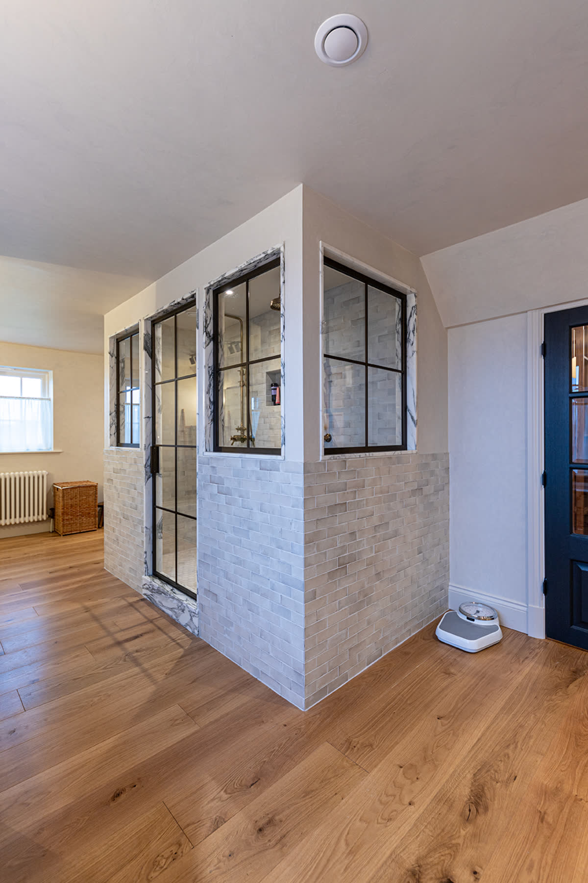 crittall style bespoke shower door with screens