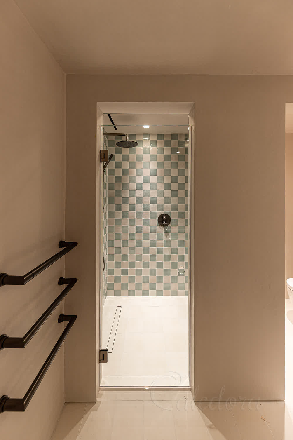 Frameless hinged shower door with brushed nickel hinges and circular handle cutout